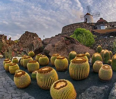 O Sole Mio En بلايا هوندا